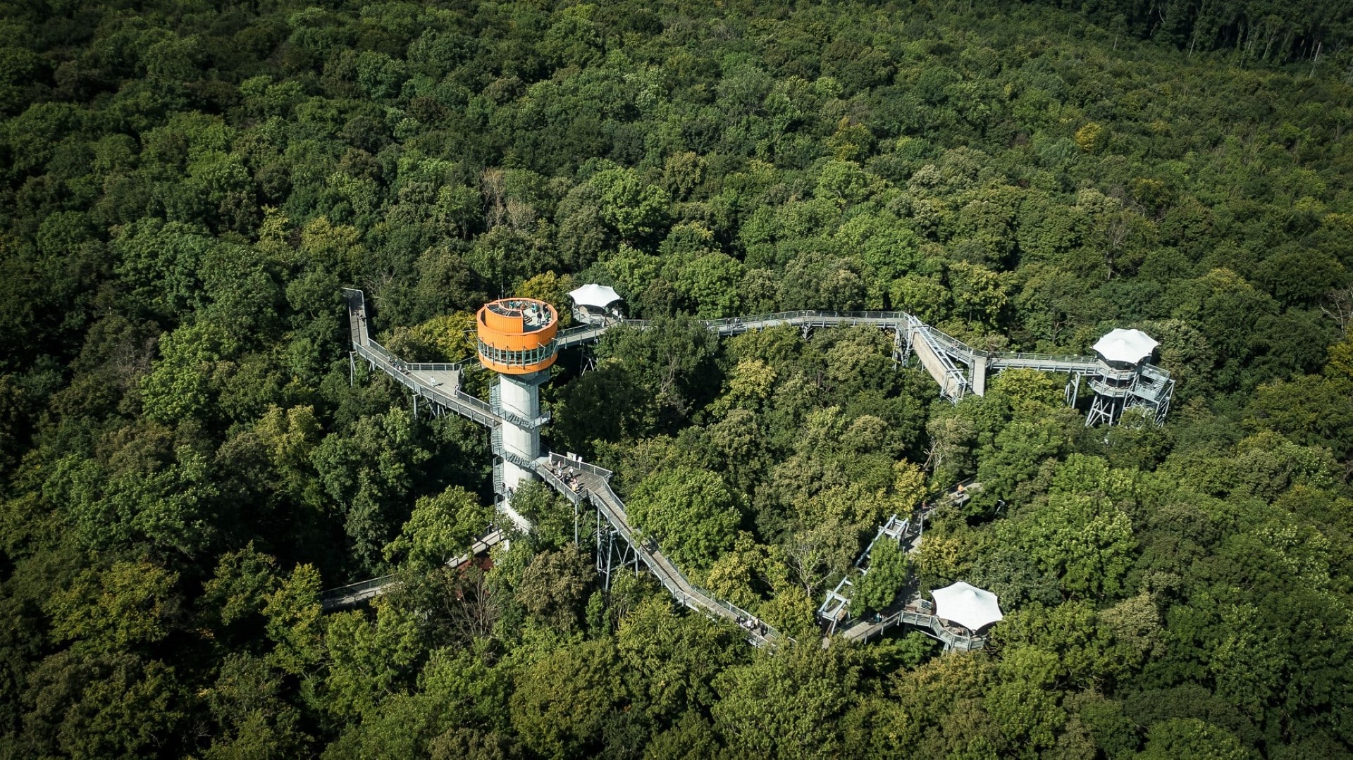 Angebot: 10% Rabatt auf Eintritt Baumkronenpfad inkl. Erlebniswelten